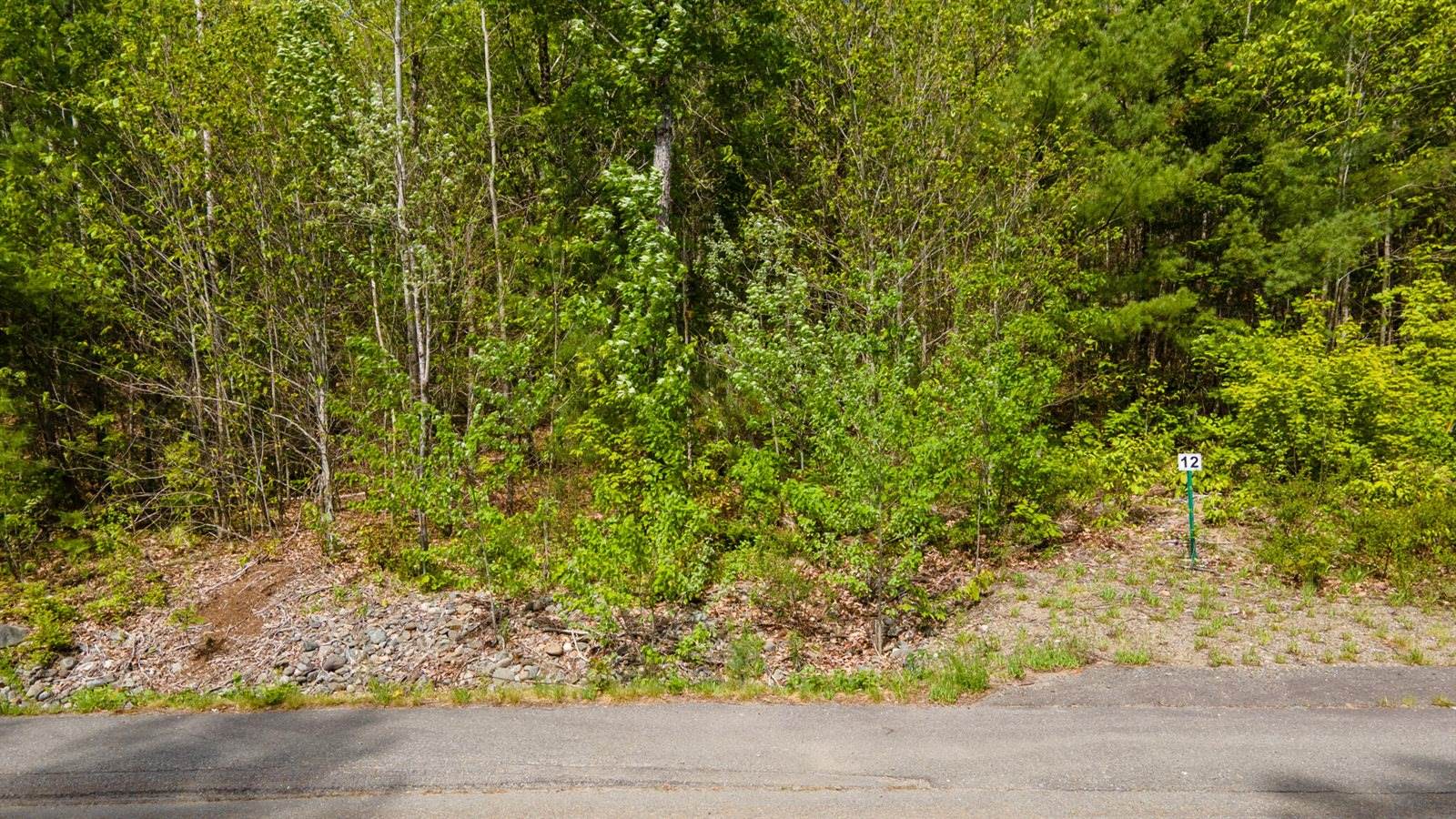 Lot 12 Grant Road, Orono, ME 04473