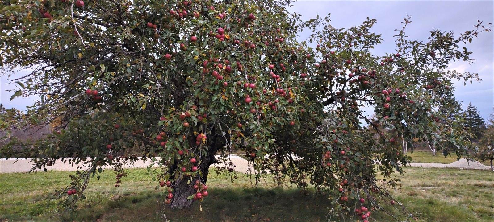 1489 Indian River Road, Jonesport, ME 04649