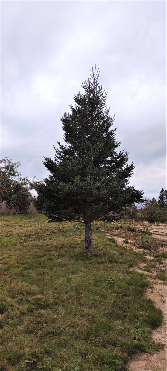 1489 Indian River Road, Jonesport, ME 04649