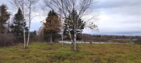 1489 Indian River Road, Jonesport, ME 04649