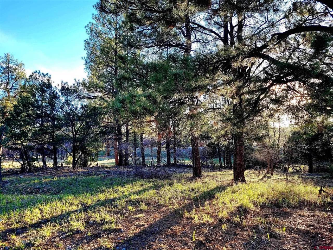 225 Badger Trail, Ridgway, CO 81432