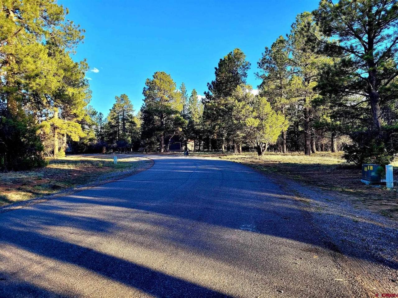 225 Badger Trail, Ridgway, CO 81432