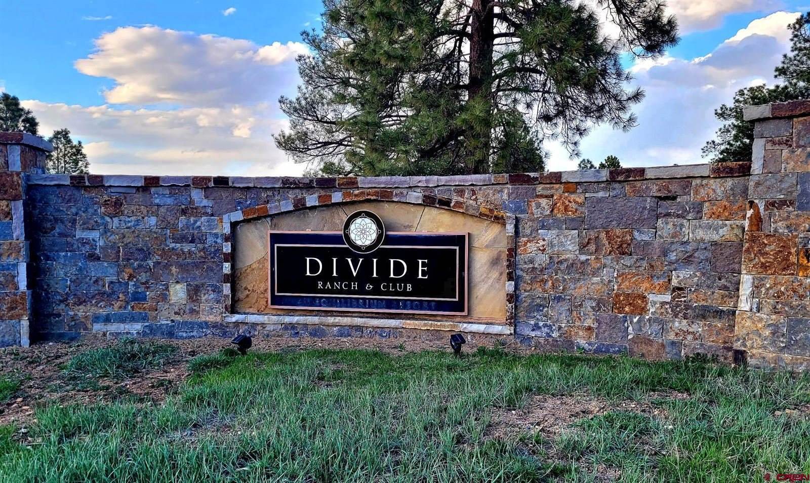 225 Badger Trail, Ridgway, CO 81432