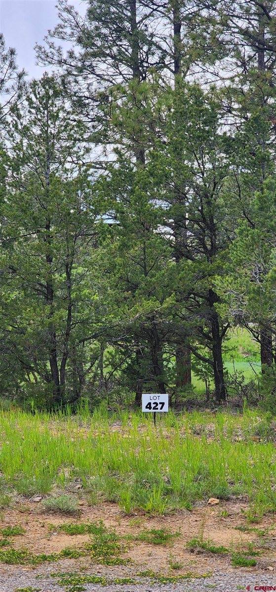 225 Badger Trail, Ridgway, CO 81432