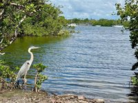 3701 Manatee Drive SE, Saint Petersburg, FL 33705