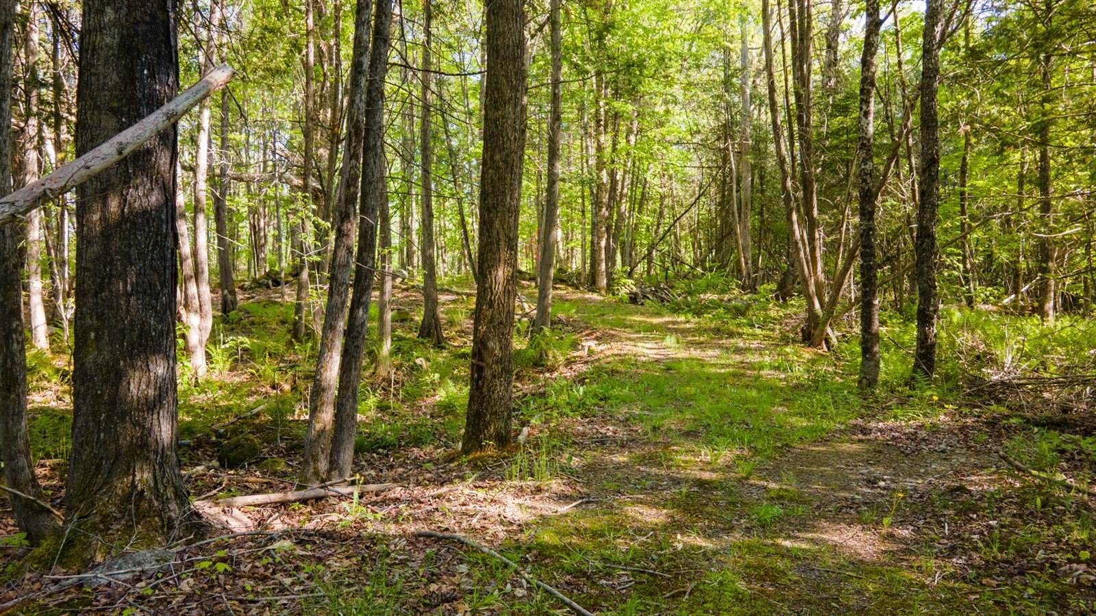 34 Mcphetres Road, Sangerville, ME 04479