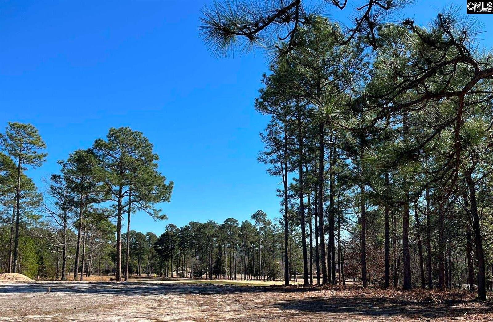 120 Long Iron, West Columbia, SC 29172