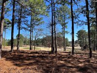 120 Long Iron, West Columbia, SC 29172