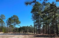 120 Long Iron, West Columbia, SC 29172