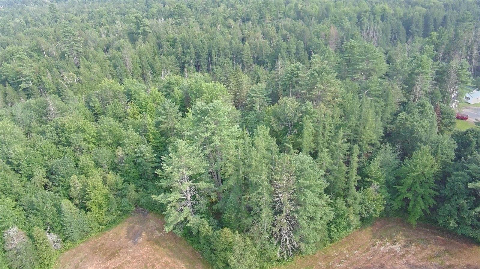 18 Gales Road, Abbot, ME 04406