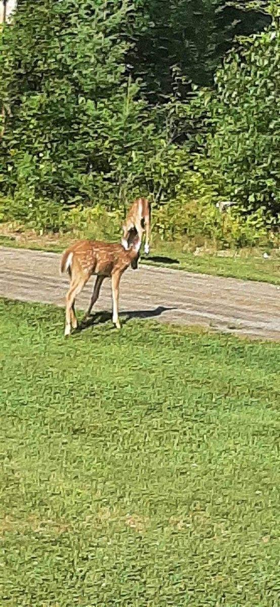 18 Gales Road, Abbot, ME 04406