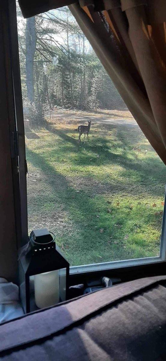 18 Gales Road, Abbot, ME 04406