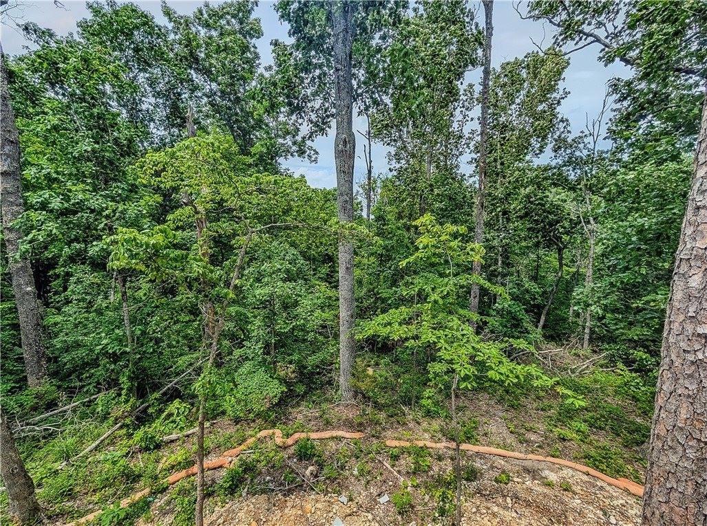 15 Patterdale Lane, Bella Vista, AR 72714