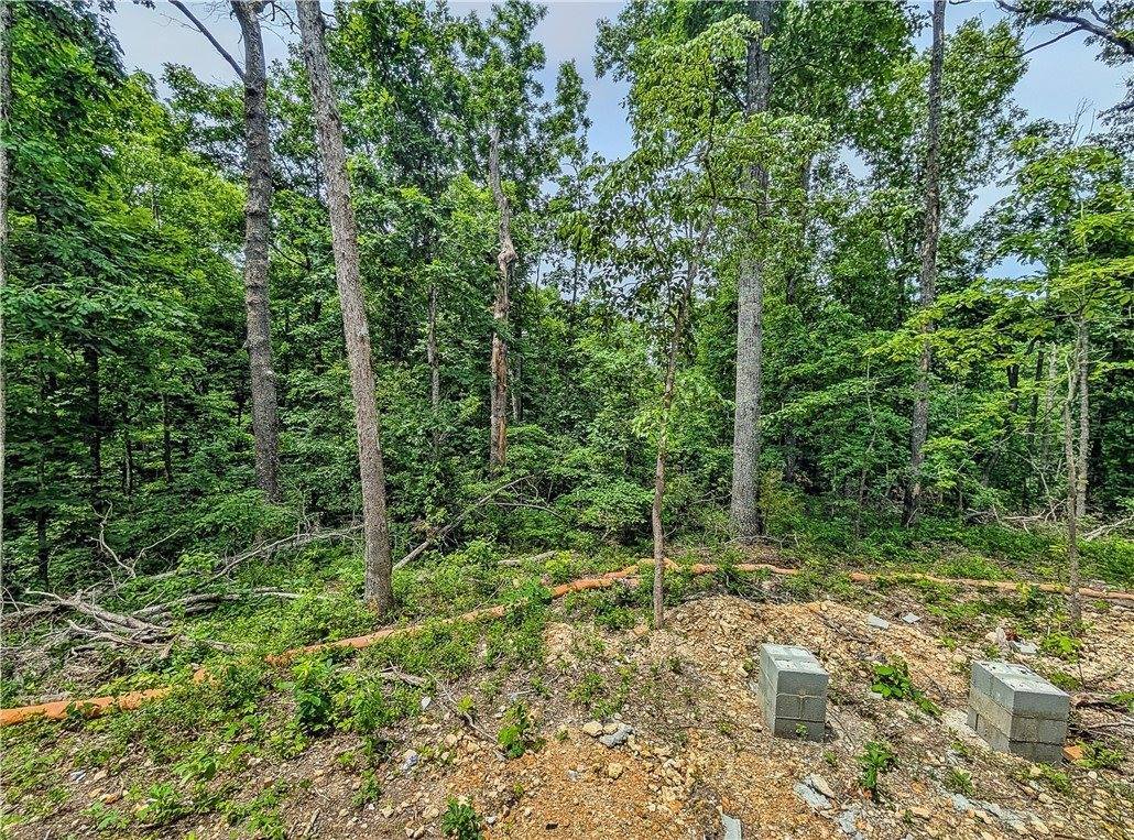 15 Patterdale Lane, Bella Vista, AR 72714