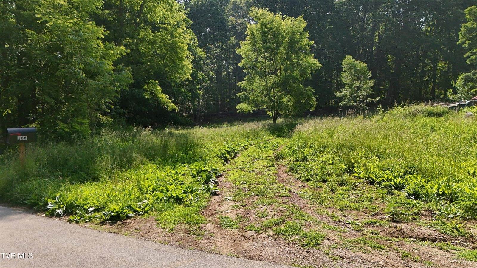 166 Dyer Road, Roan Mountain, TN 37687