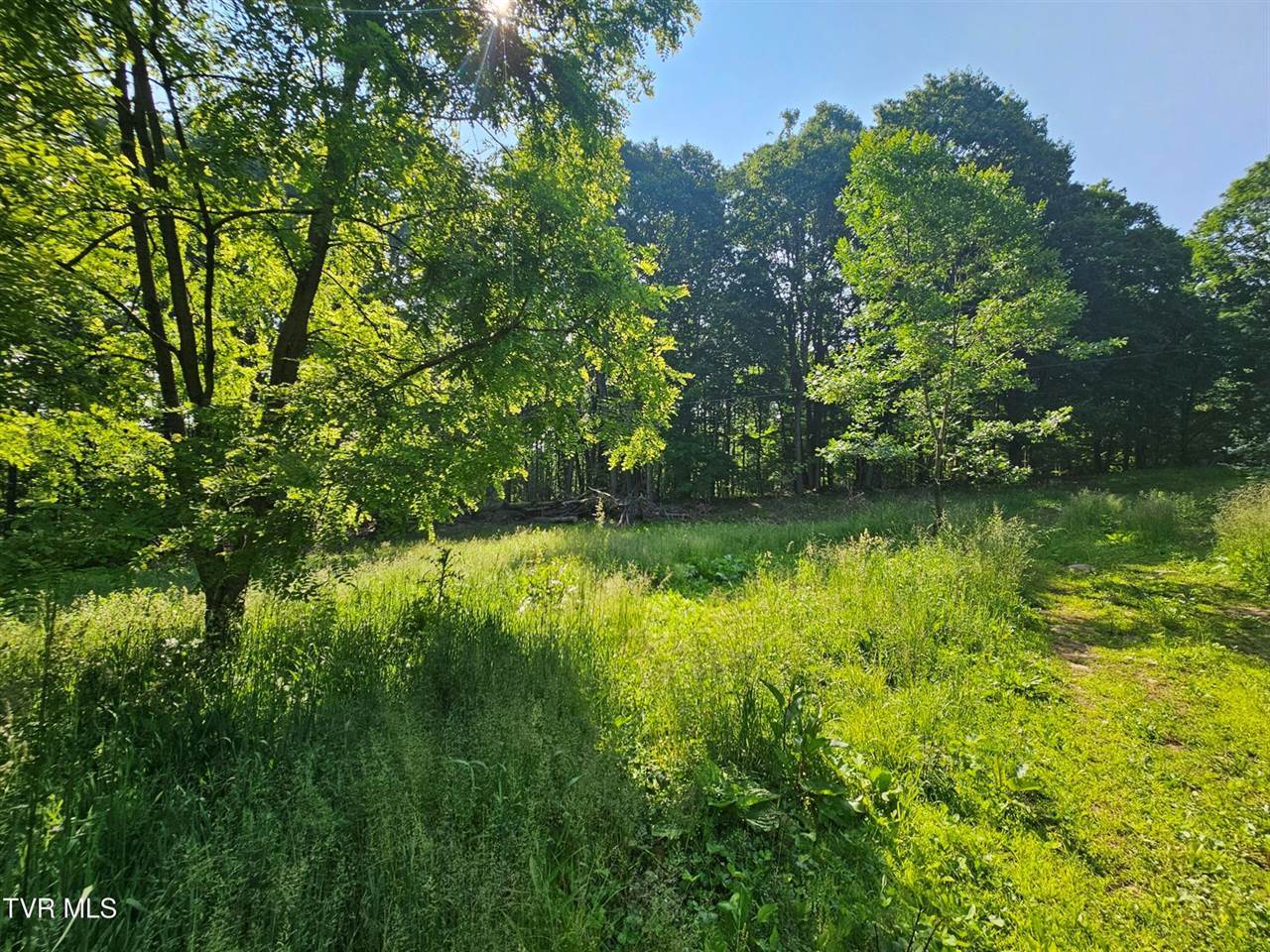 166 Dyer Road, Roan Mountain, TN 37687