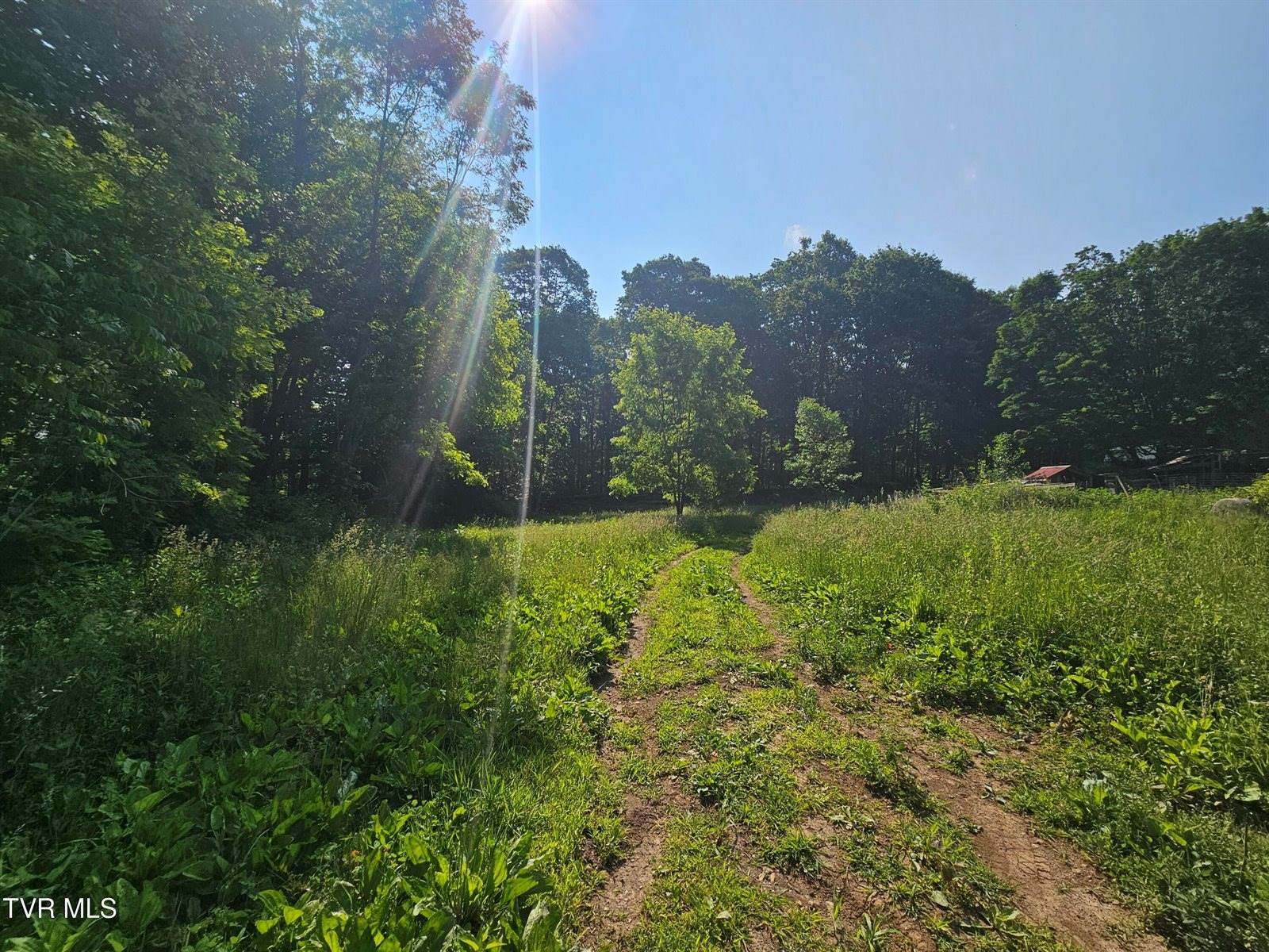 166 Dyer Road, Roan Mountain, TN 37687