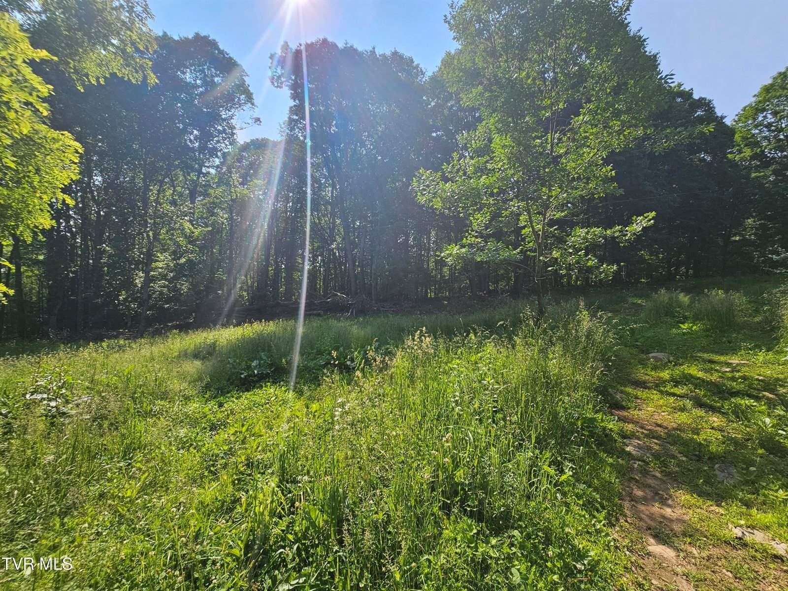 166 Dyer Road, Roan Mountain, TN 37687