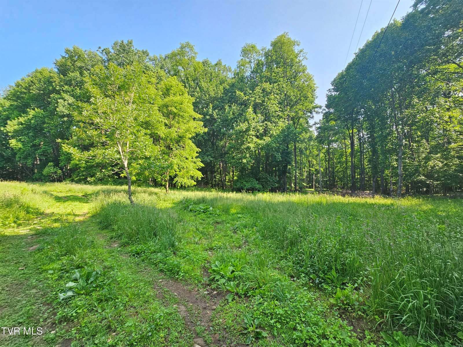 166 Dyer Road, Roan Mountain, TN 37687