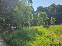 166 Dyer Road, Roan Mountain, TN 37687