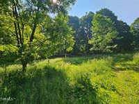 166 Dyer Road, Roan Mountain, TN 37687