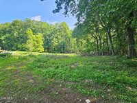 166 Dyer Road, Roan Mountain, TN 37687