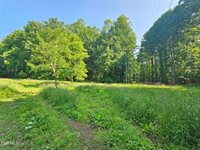 166 Dyer Road, Roan Mountain, TN 37687