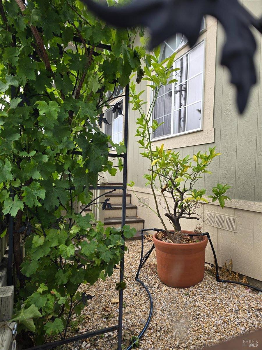 5341 Huckleberry Way, Santa Rosa, CA 95403