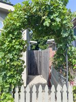 5341 Huckleberry Way, Santa Rosa, CA 95403