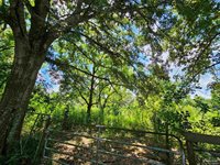 455 West Roberts Rd, Cantonment, FL 32533