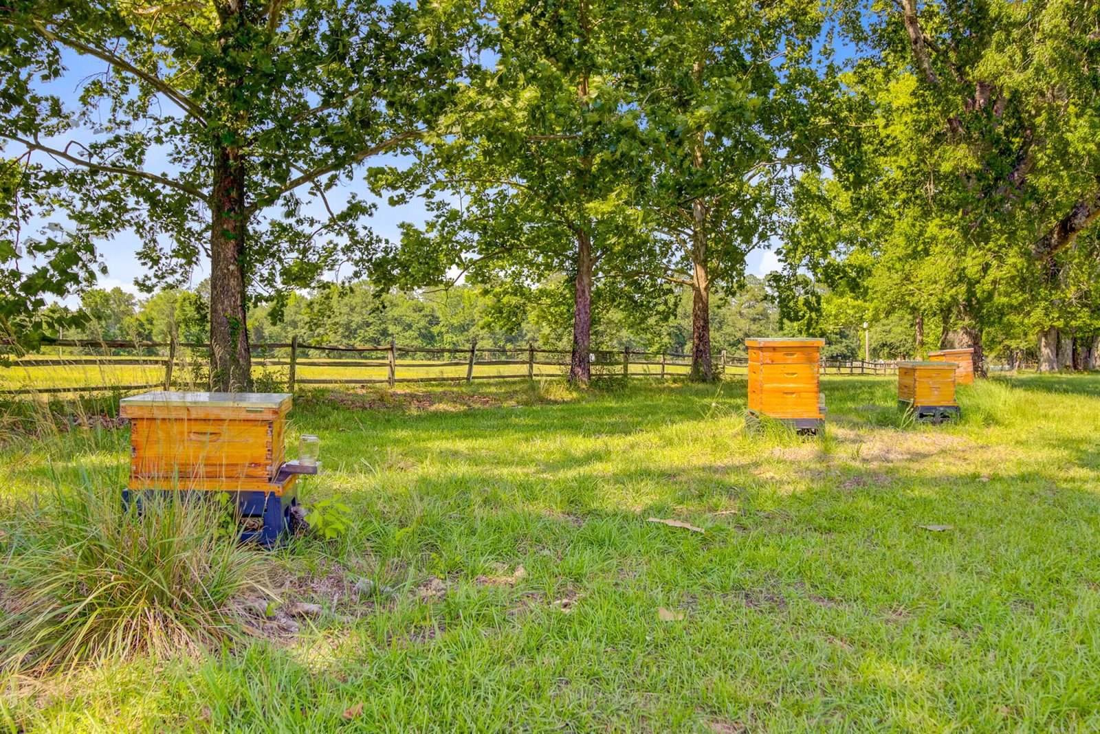 481 Cantey Lane, Camden, SC 29020