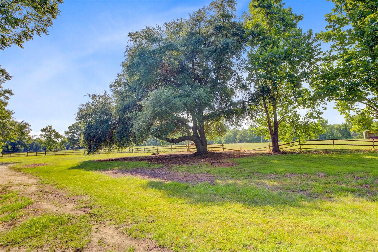 481 Cantey Lane, Camden, SC 29020