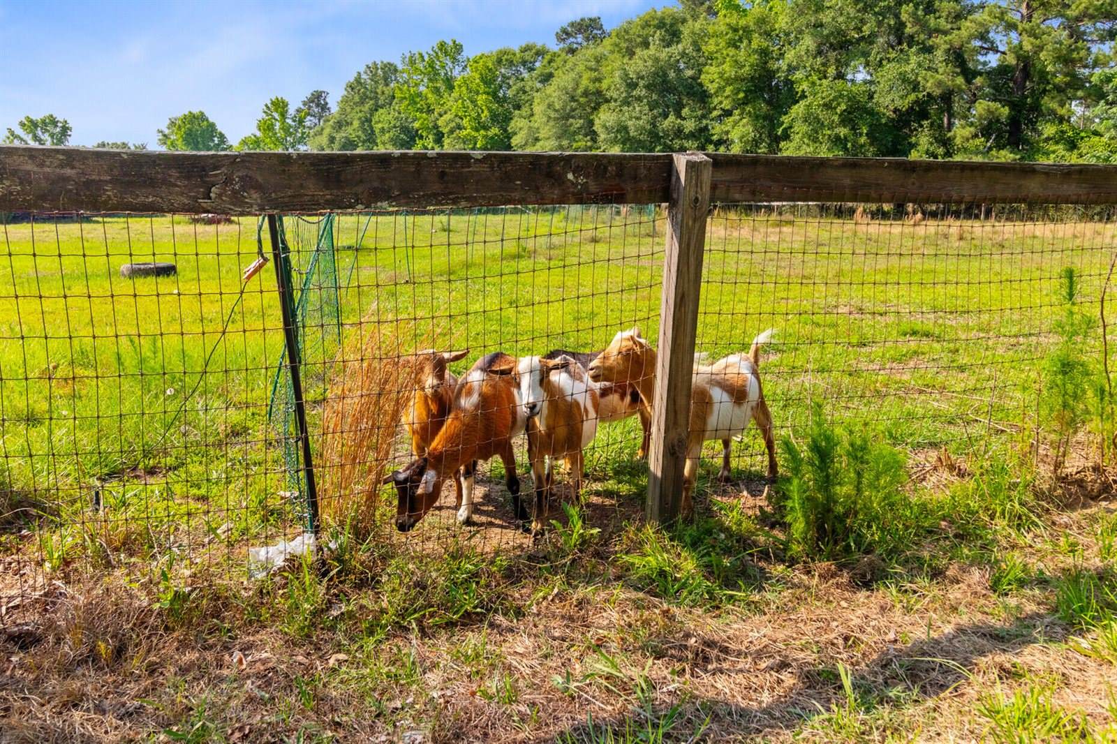 481 Cantey Lane, Camden, SC 29020