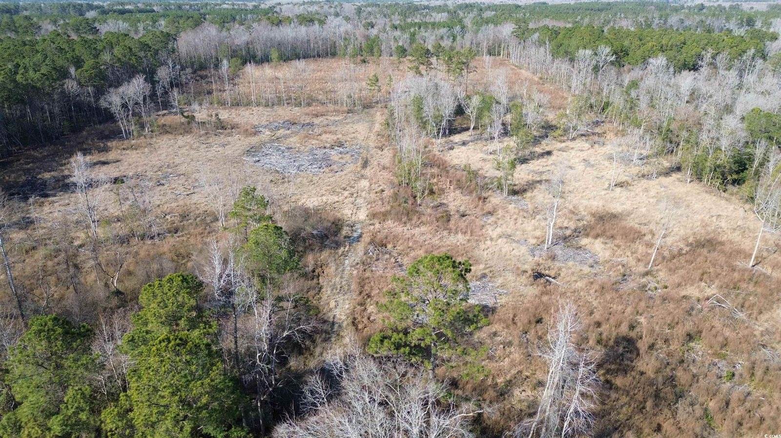 TBD Highway 905, Conway, SC 29526