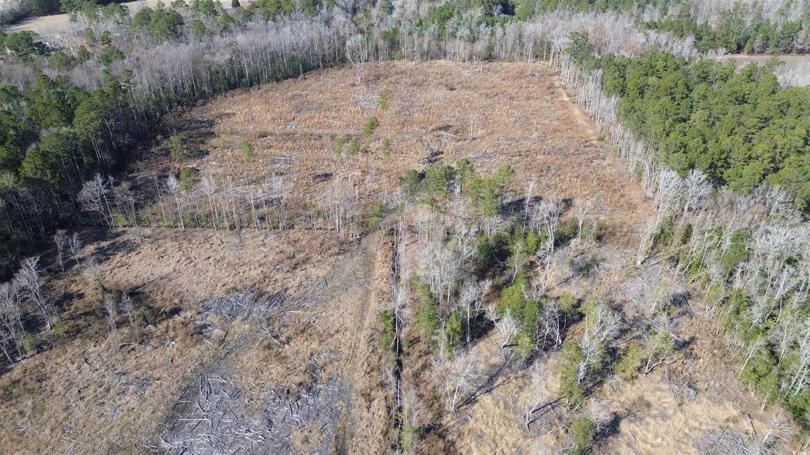 TBD Highway 905, Conway, SC 29526