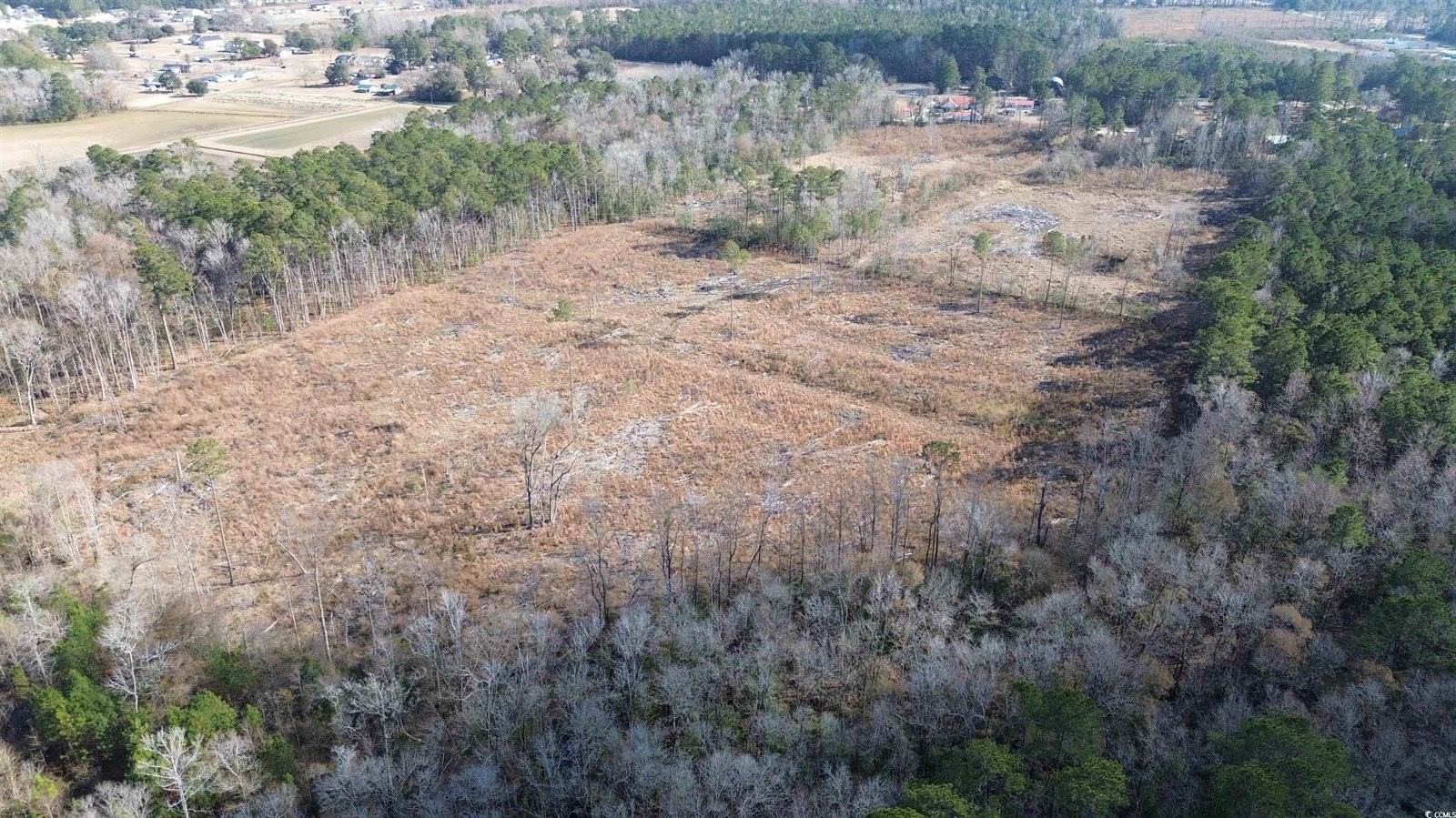 TBD Highway 905, Conway, SC 29526