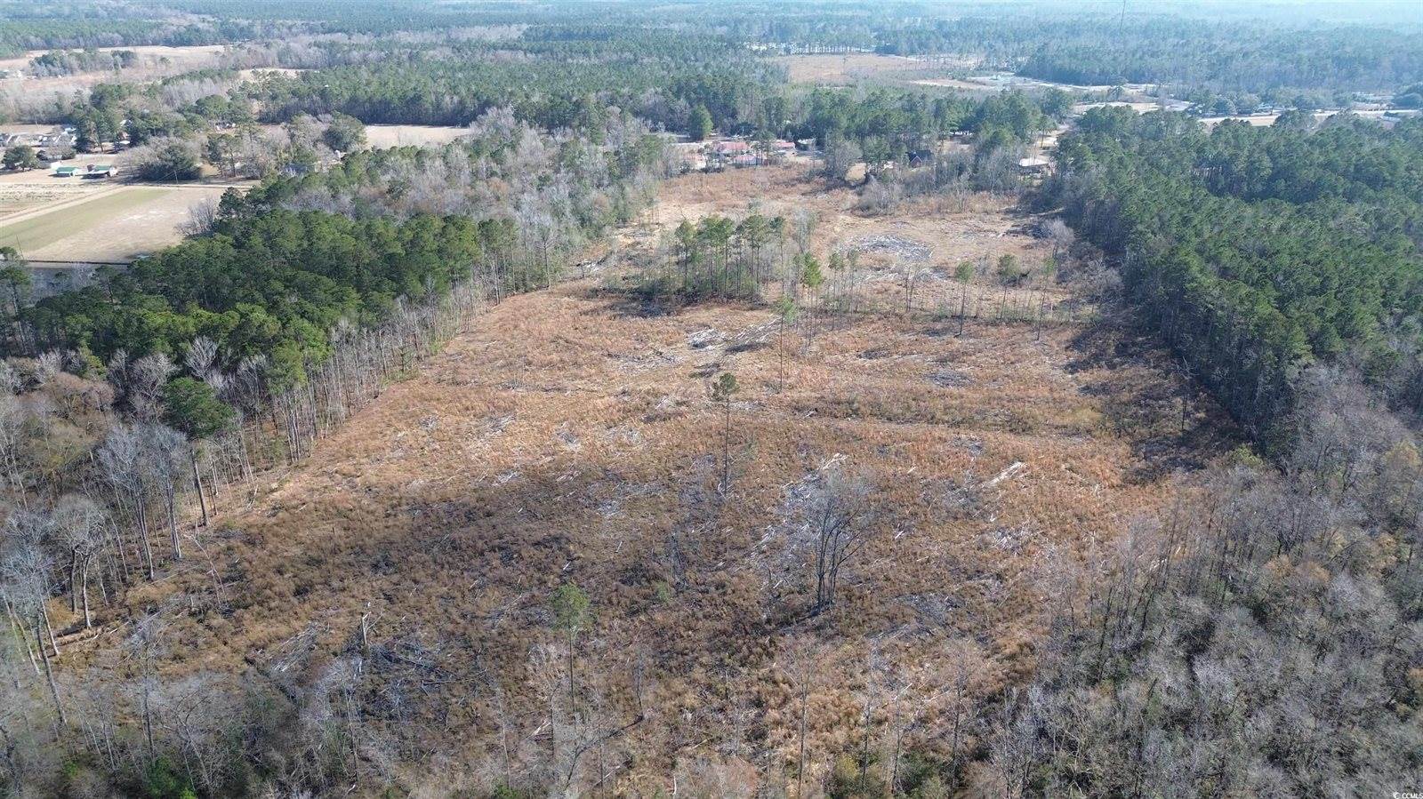 TBD Highway 905, Conway, SC 29526