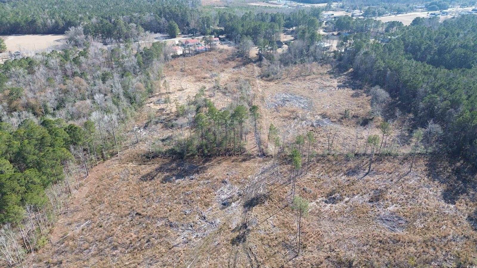 TBD Highway 905, Conway, SC 29526