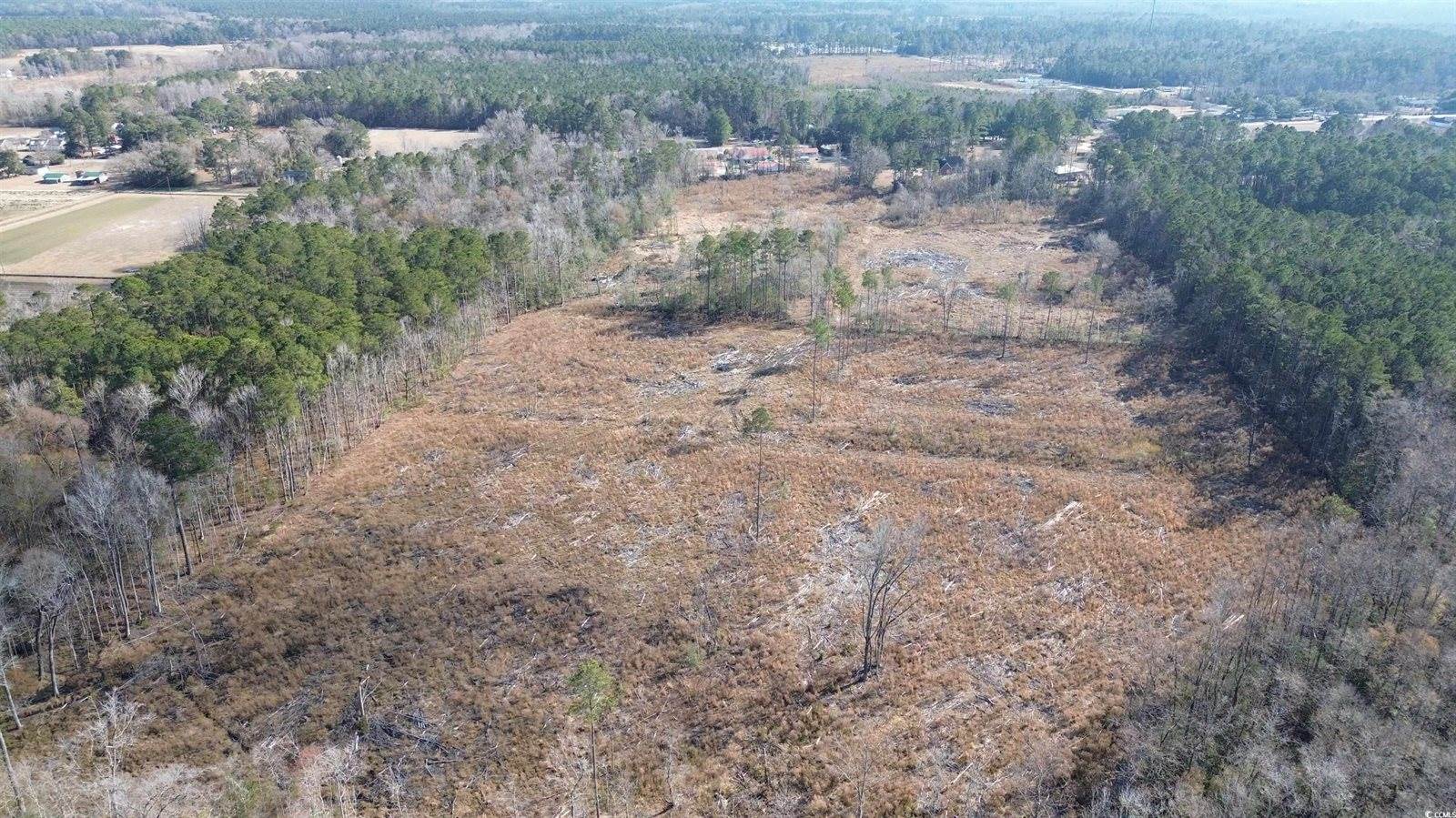 TBD Highway 905, Conway, SC 29526