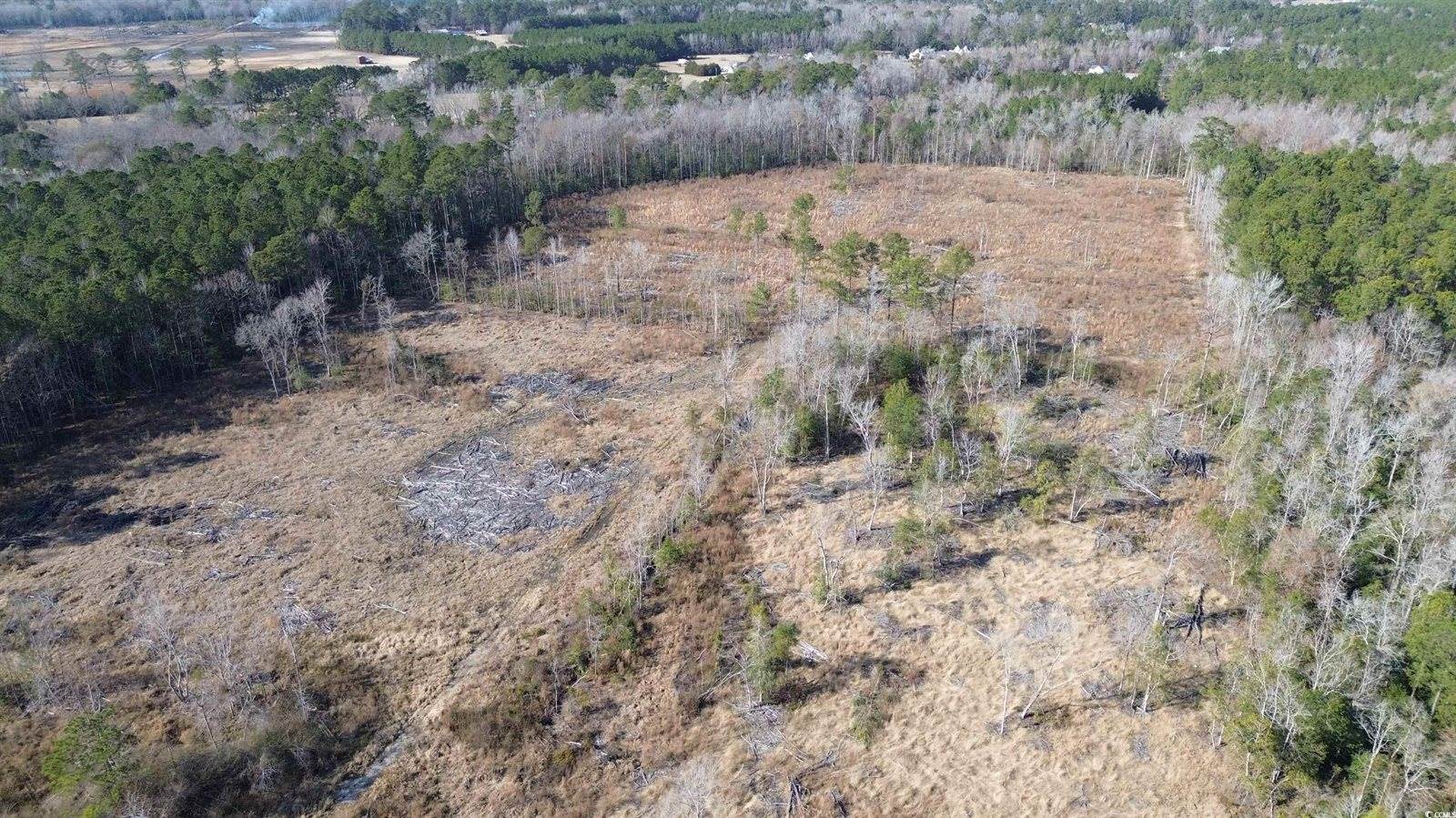 TBD Highway 905, Conway, SC 29526