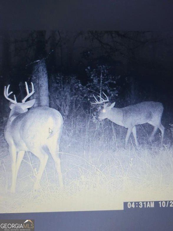 1095 Jacksonville Highway, Fitzgerald, GA 31750