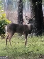 1095 Jacksonville Highway, Fitzgerald, GA 31750