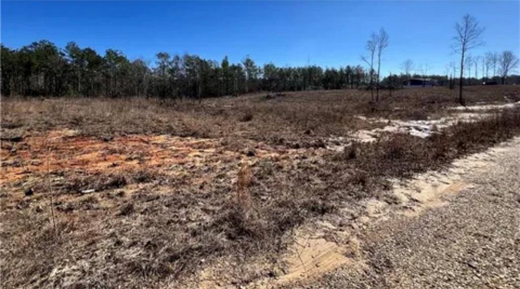 1 Mixon Road, Amite, LA 70422