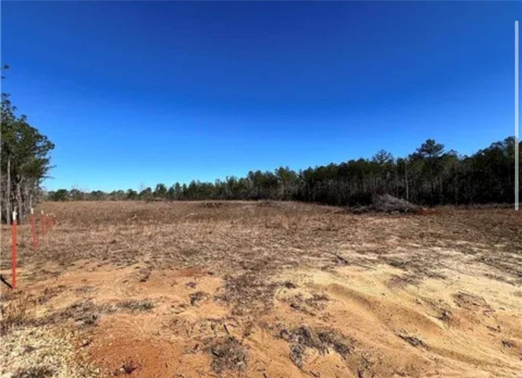 1 Mixon Road, Amite, LA 70422