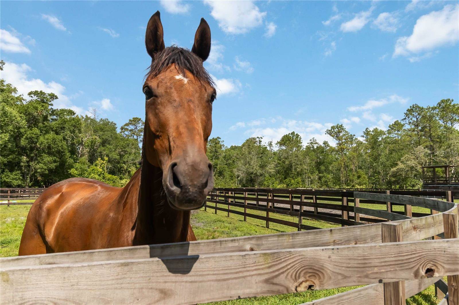 23647 Seneca Ridge Court, Christmas, FL 32709