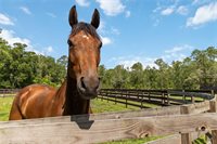 23647 Seneca Ridge Court, Christmas, FL 32709