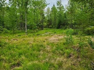 3C Winter Hill Lane, Monson, ME 04464