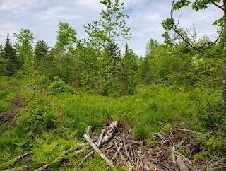 3C Winter Hill Lane, Monson, ME 04464