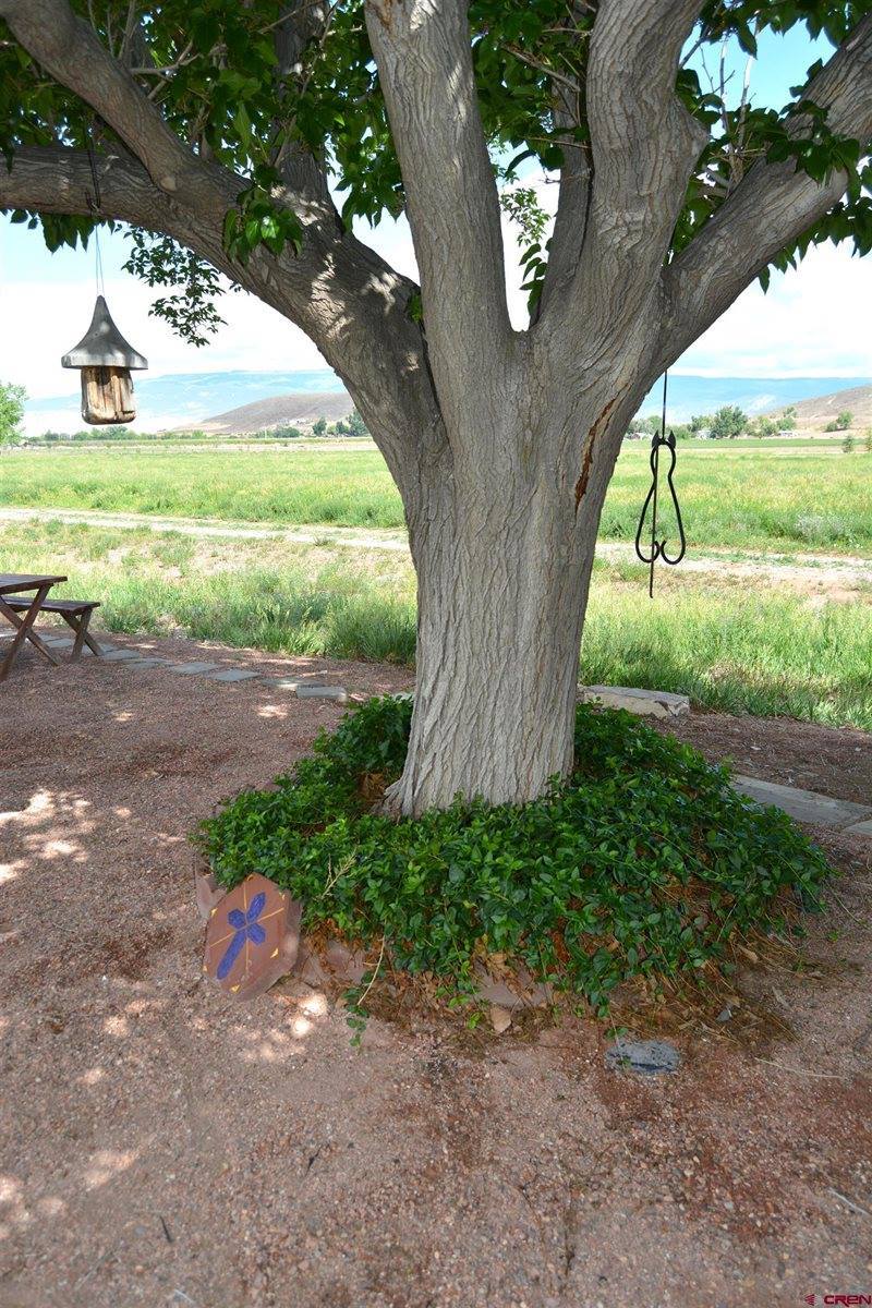 8801 2100 Road, Austin, CO 81410