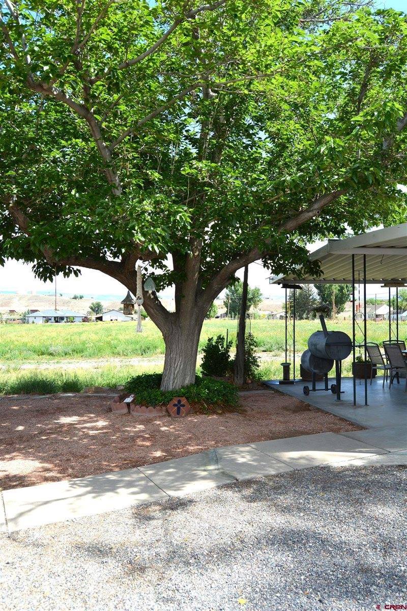 8801 2100 Road, Austin, CO 81410